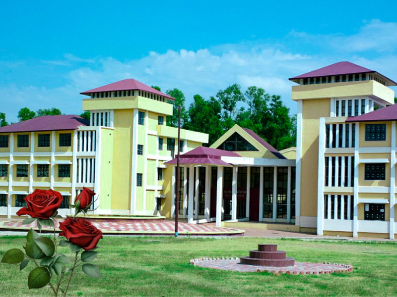 Empower Your Academic Journey with the Right Education Course for Research